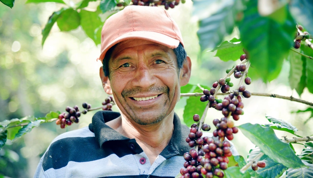 Cafeteros de la Red de Productores Ecológicos de la Sierra Nevada de Santa Marta, Red Ecolsierra.