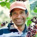 Cafeteros de la Red de Productores Ecológicos de la Sierra Nevada de Santa Marta, Red Ecolsierra.
