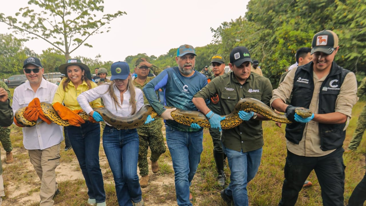 La gobernadora del Meta, Rafaela Cortés, participó este fin de semana de la liberación de más de 100 animales víctimas del tráfico ilegal de fauna.