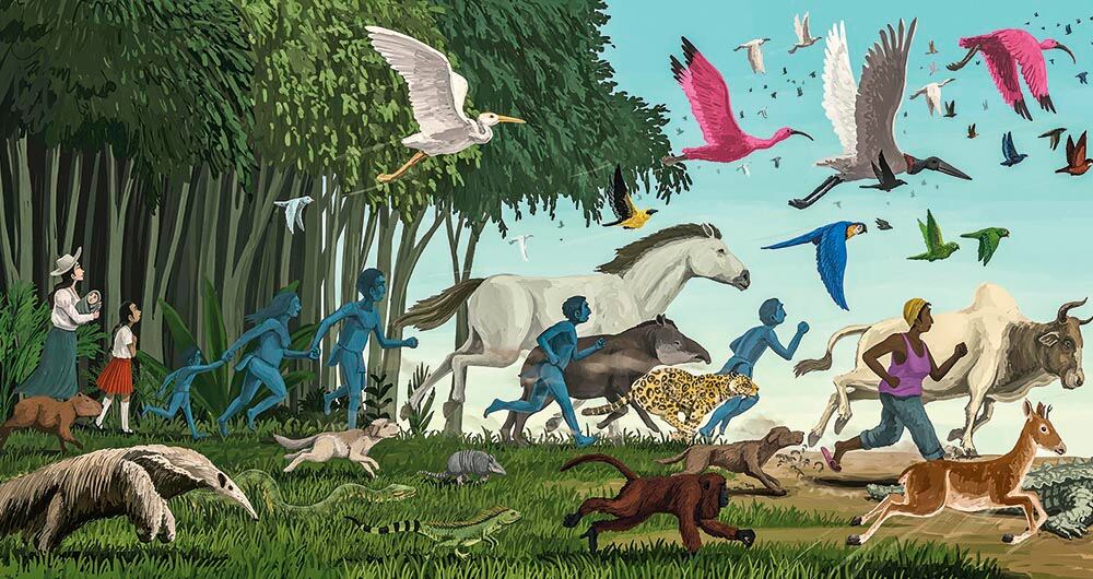 'Una sombra sobre toda la Tierra: una lectura de La vorágine', un trabajo ilustrativo notable. 