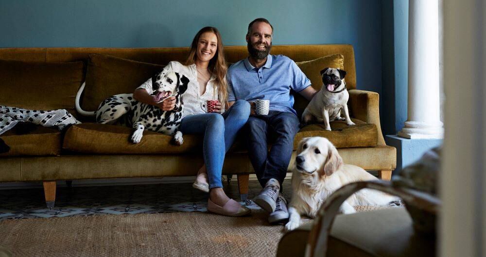 La adopción de mascotas debe hacerse de forma responsable. 