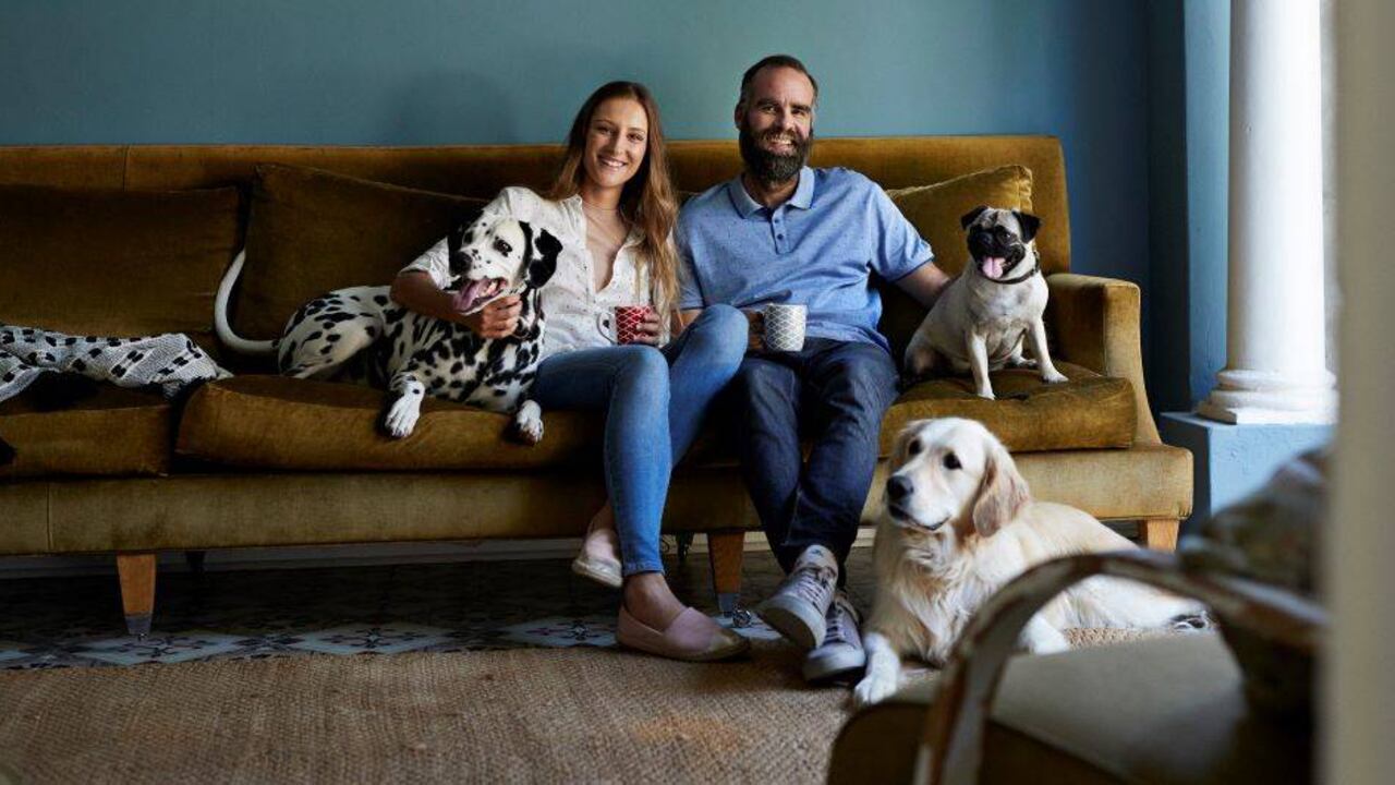 La adopción de mascotas debe hacerse de forma responsable.