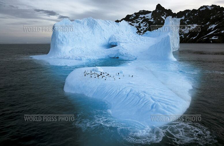 Georgia del Sur, Antártida.