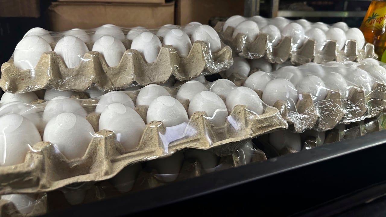 Departamento de Agricultura alerta sobre posible aumento del 41% en el precio de los huevos en Estados Unidos.