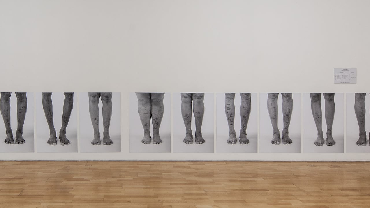 Signos Cardinales. 2008. Libia Posada. Cortesía de BanRep Cultura