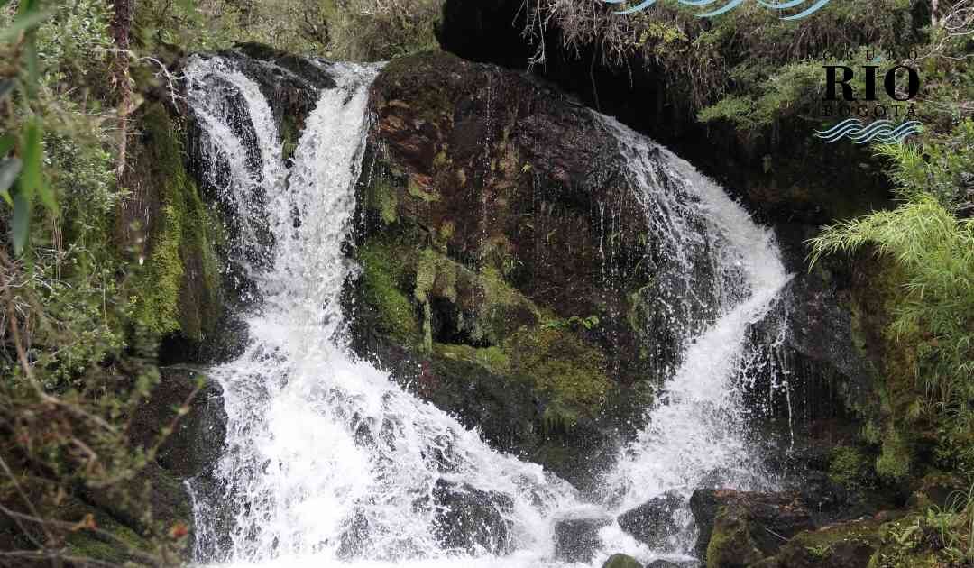 La cascada La Nutria se encuentra inserta en el páramo de Guacheneque y forma parte del nacimiento del río Bogotá