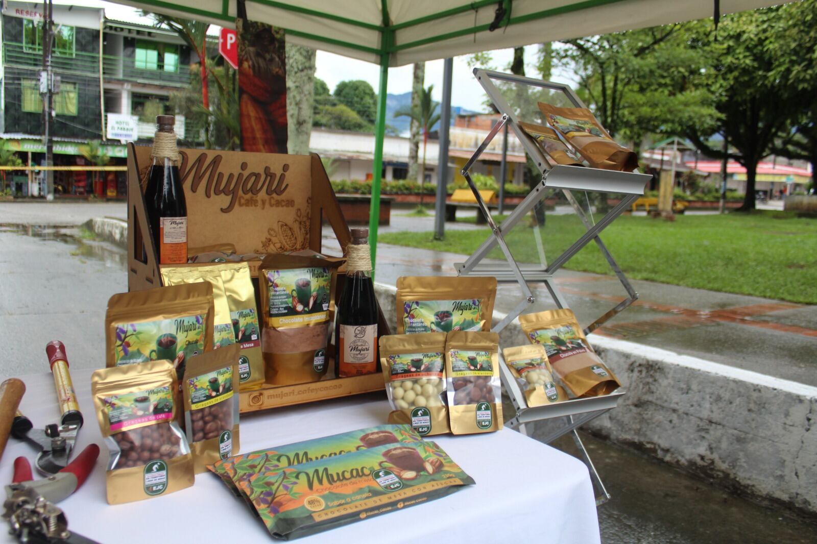 Mujeres cacaoteras crean empresa en Meta