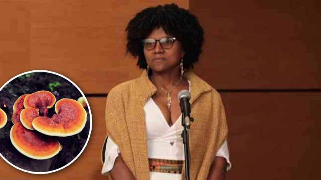 "no tiene cabida en el campo de la ciencia decir que 'decidí no publicar como un acto de rebeldía'", le dicen los médicos a la ministra.