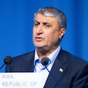 “Un precedente que afectará a todo el mundo”: EE.UU. impide la entrada al jefe nuclear iraní a la reunión en Viena