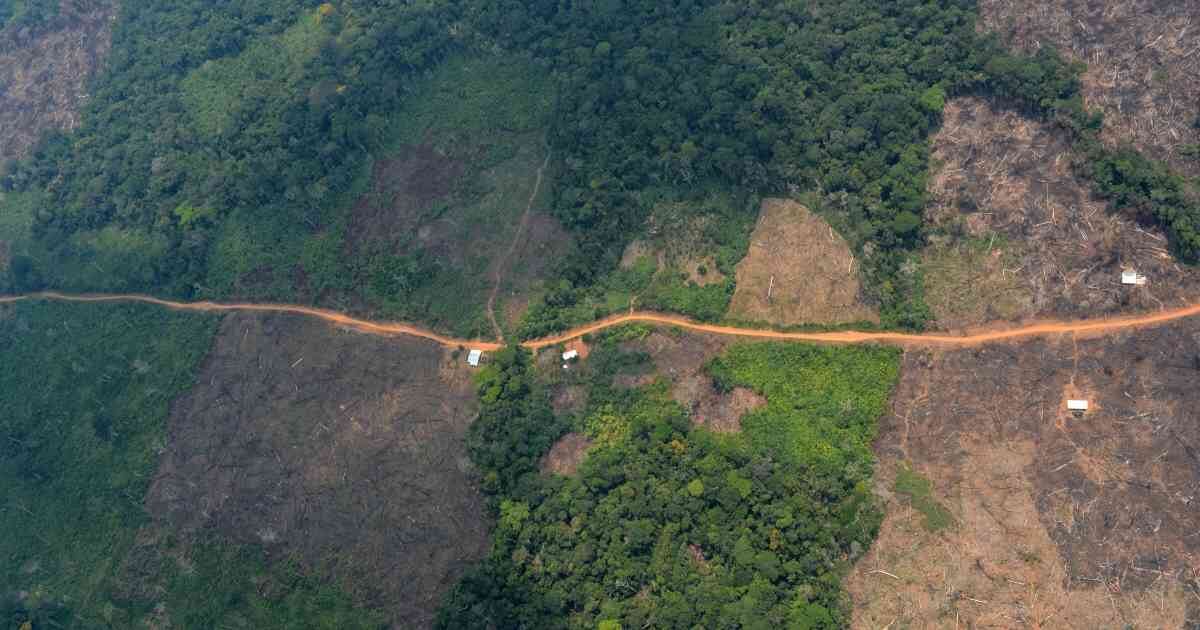 La carretera entre Miraflores y Calamar en el Guaviare ha sido uno de los mayores focos de deforestación. Foto: Rodrigo Botero.