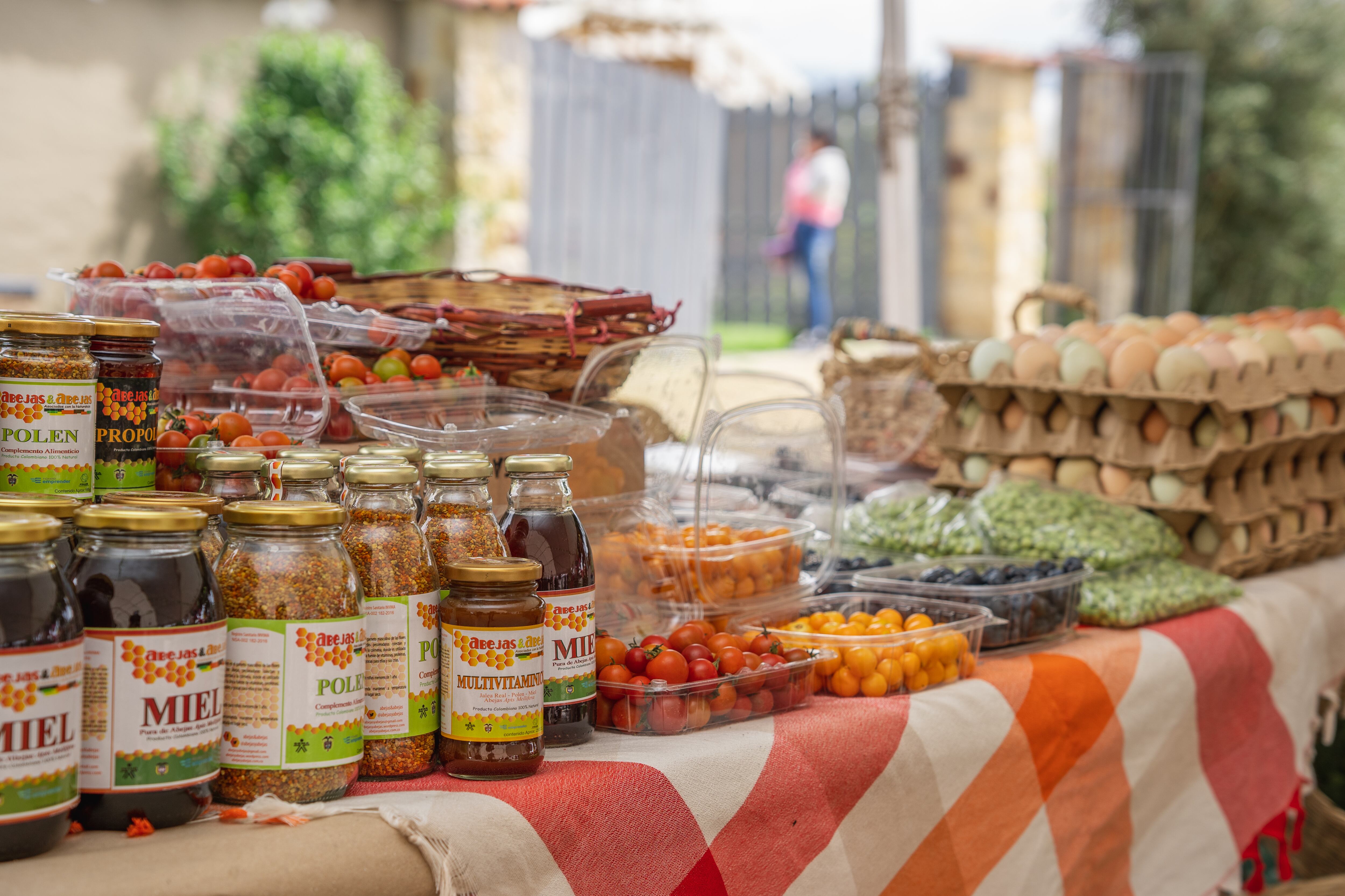 'Fagua Fest', así puede participar de los talleres de huerta, repostería y de la feria de emprendimientos; la entrada es gratis