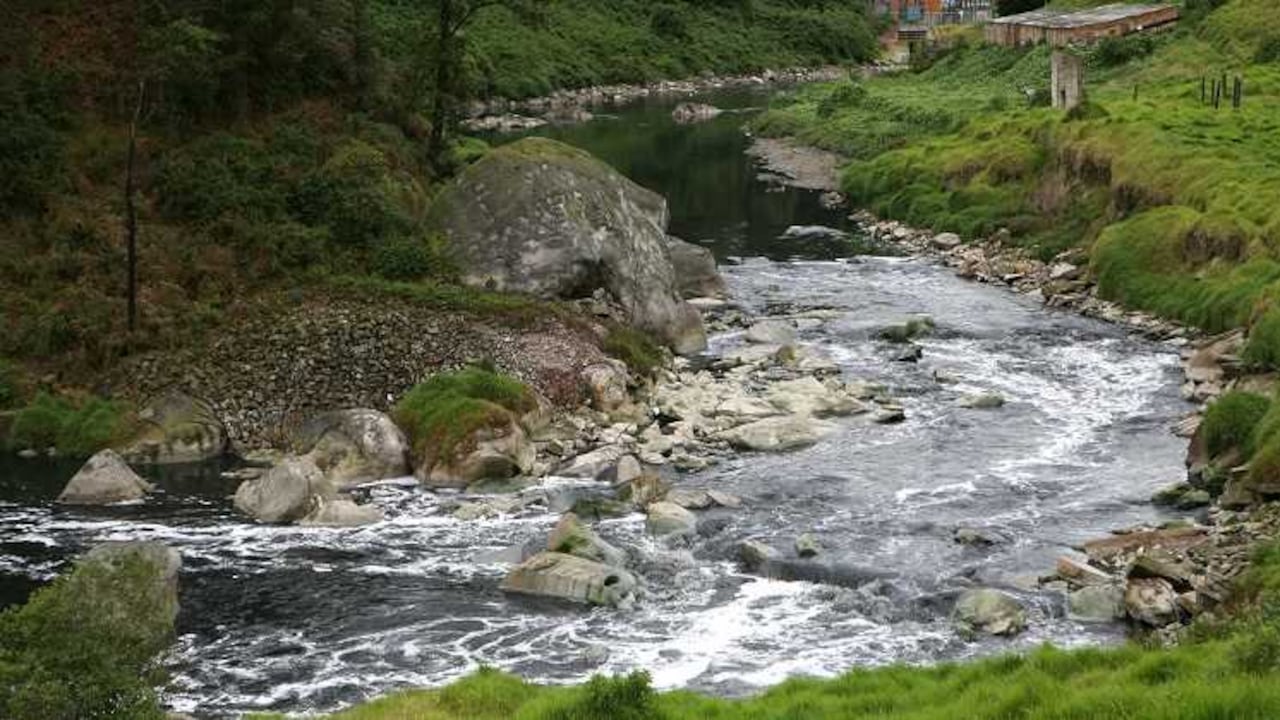 Foto: Archivo Semana