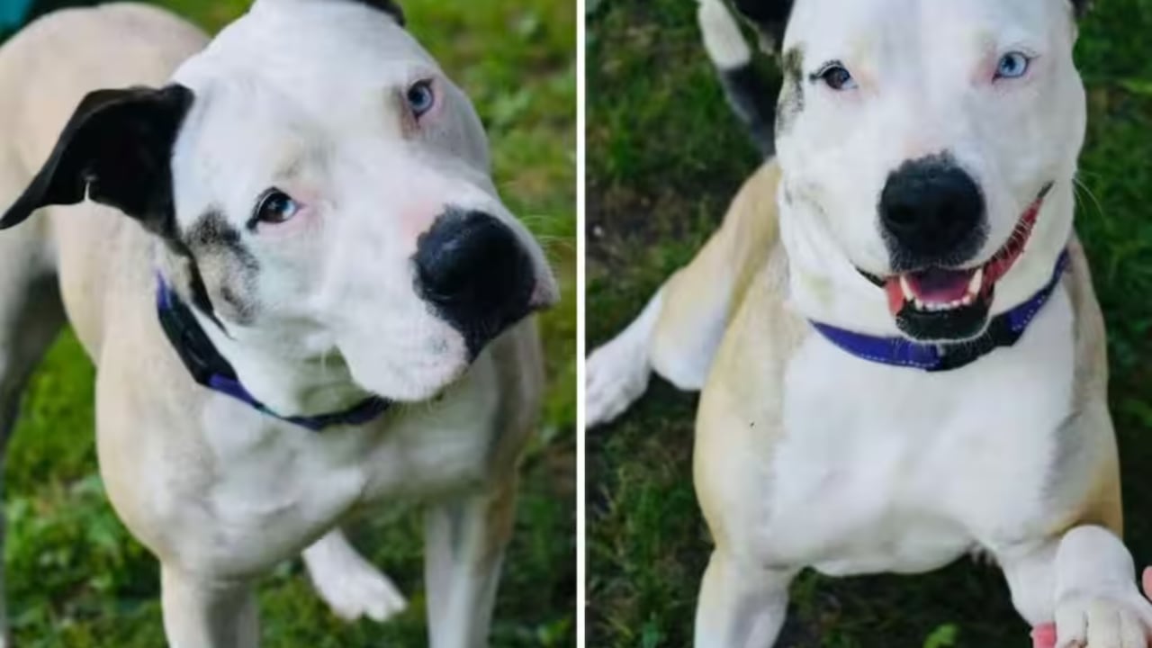 El desgarrador caso de Della: lleva 644 días esperando por una familia.