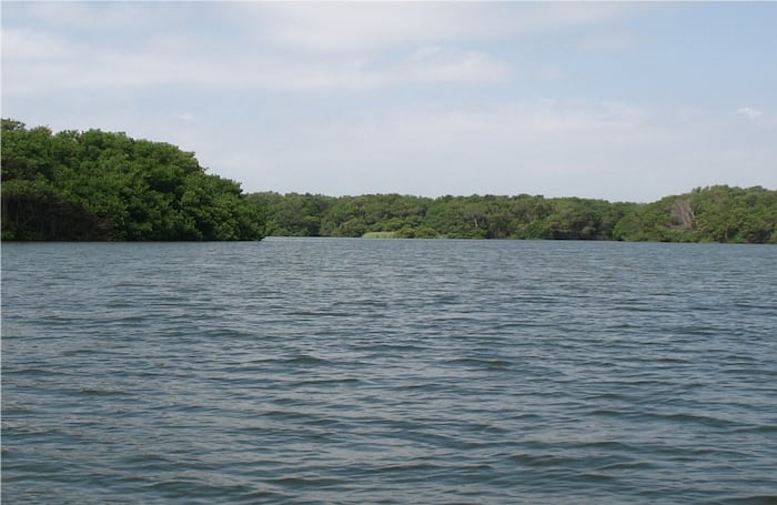 El Parque Isla de Salamanca es un complejo laberinto de ciénaga y caños que debe su biodiversidad al agua dulce del río Magadalena y al agua salada del Mar Caribe, el equilibrio de esas dos aguas es lo que la convierte en una vida única.