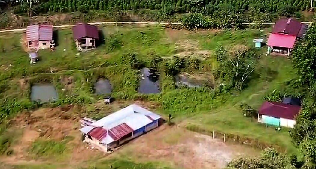 Este campo minado habría sido instalado por el grupo armado organizado Segunda Marquetalia Estructura Oliver Sinisterra, de las disidencias de las Farc