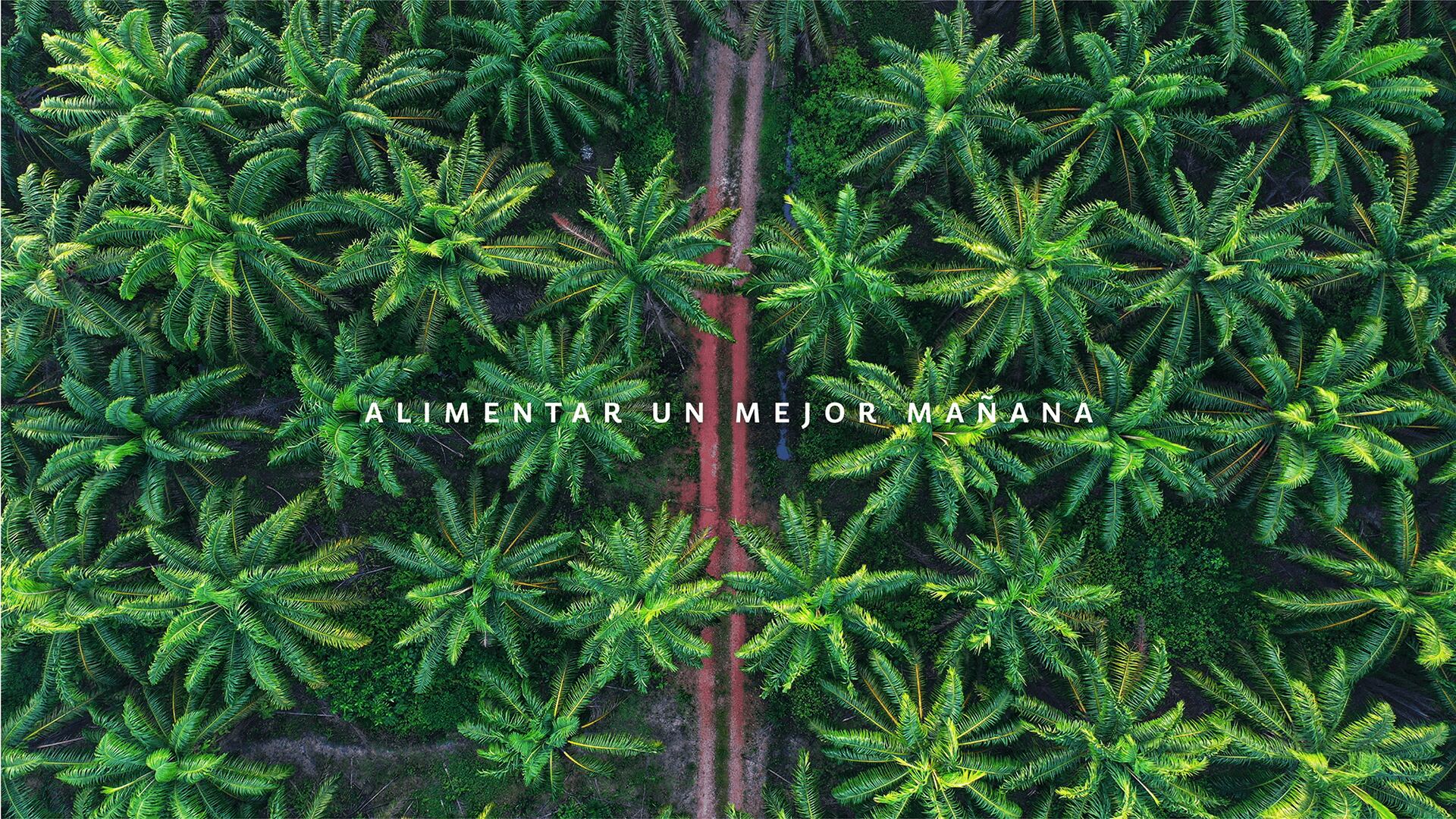 Los esfuerzos de Alianza Team por alimentar un mejor mañana