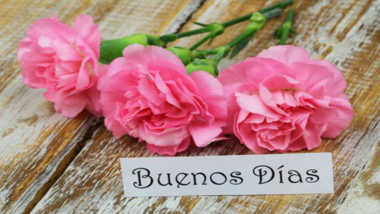 Utilizar saludos en plural es algo absolutamente específico de nuestro idioma. Foto: Getty Images