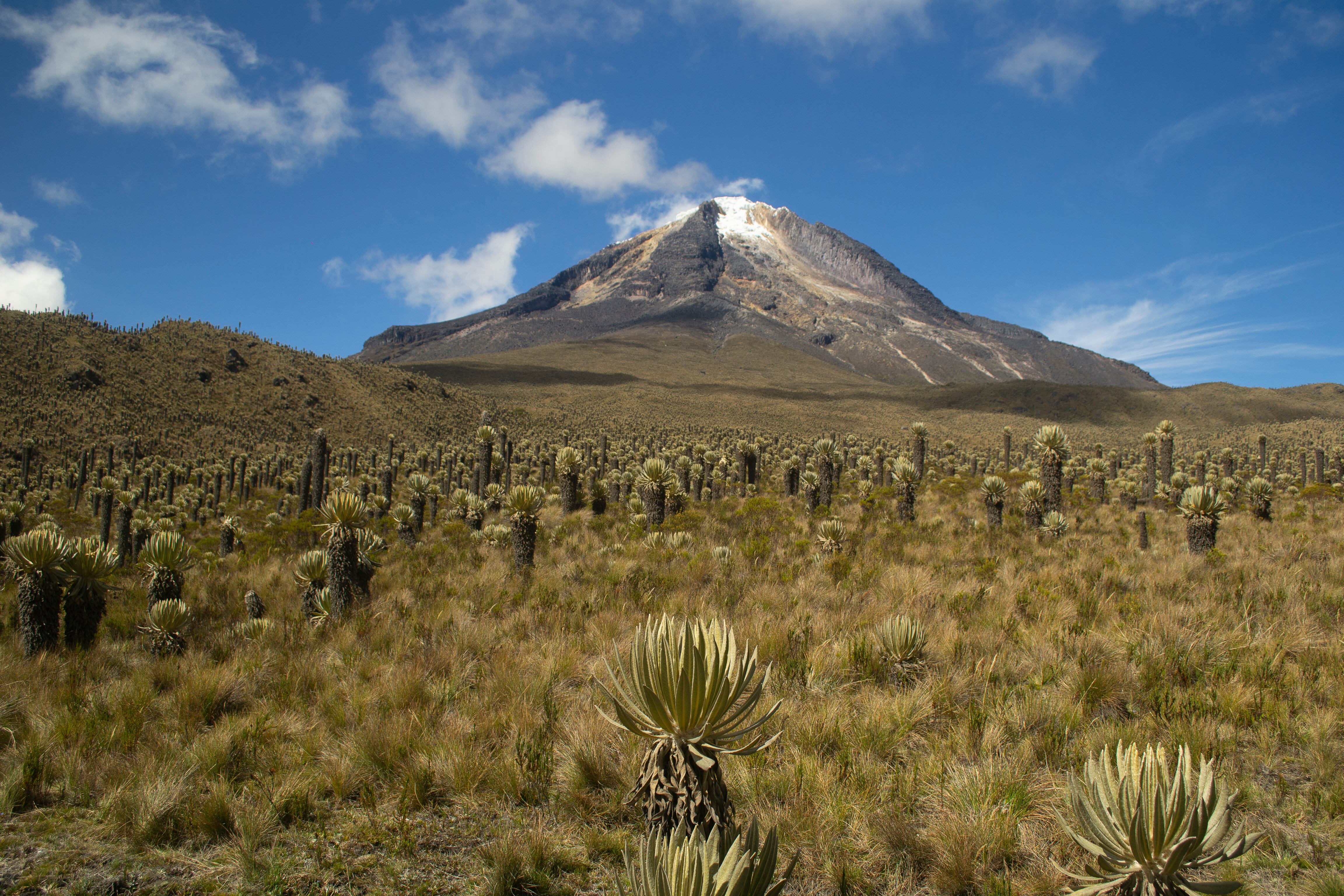 Desde el Cañón del Combeima también se puede disfrutar del imponente Nevado del Tolima.