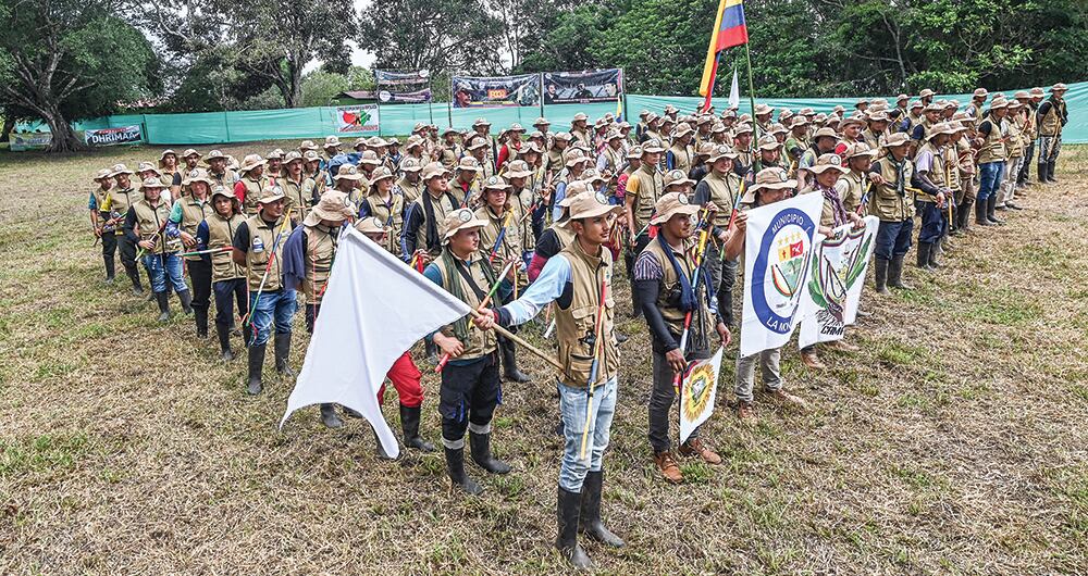   El ELN se fortaleció luego de lo ocurrido en el Catatumbo. Ahora, la principal amenaza es que movilice sus tropas hacia el sur del país para replicar su accionar en esa región. 