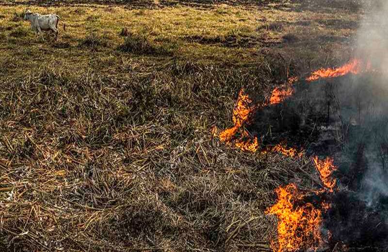 Foto: Joaquín Sarmiento / AFP