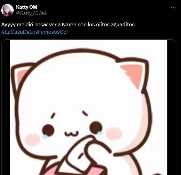 Foto: Captura de pantalla / X