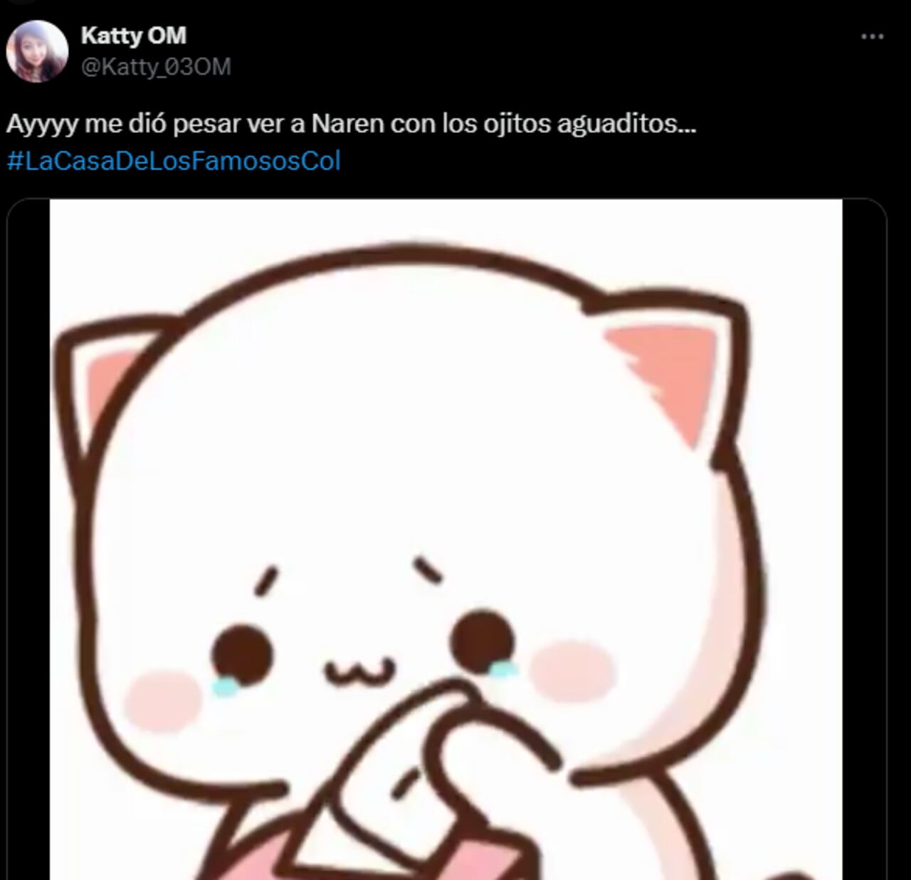 Foto: Captura de pantalla / X