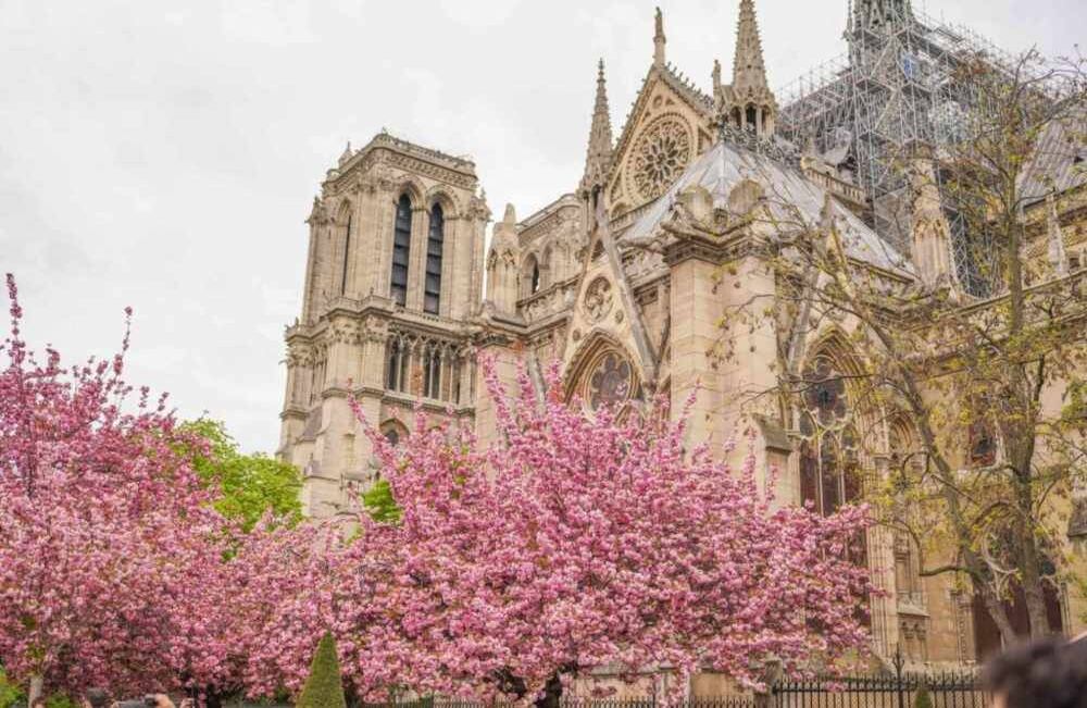 Así lucía Notre Dame en la primavera francesa. La catedral se empezó a construir hace 856 años. FOTO: Edward Berthelot / Getty Images.