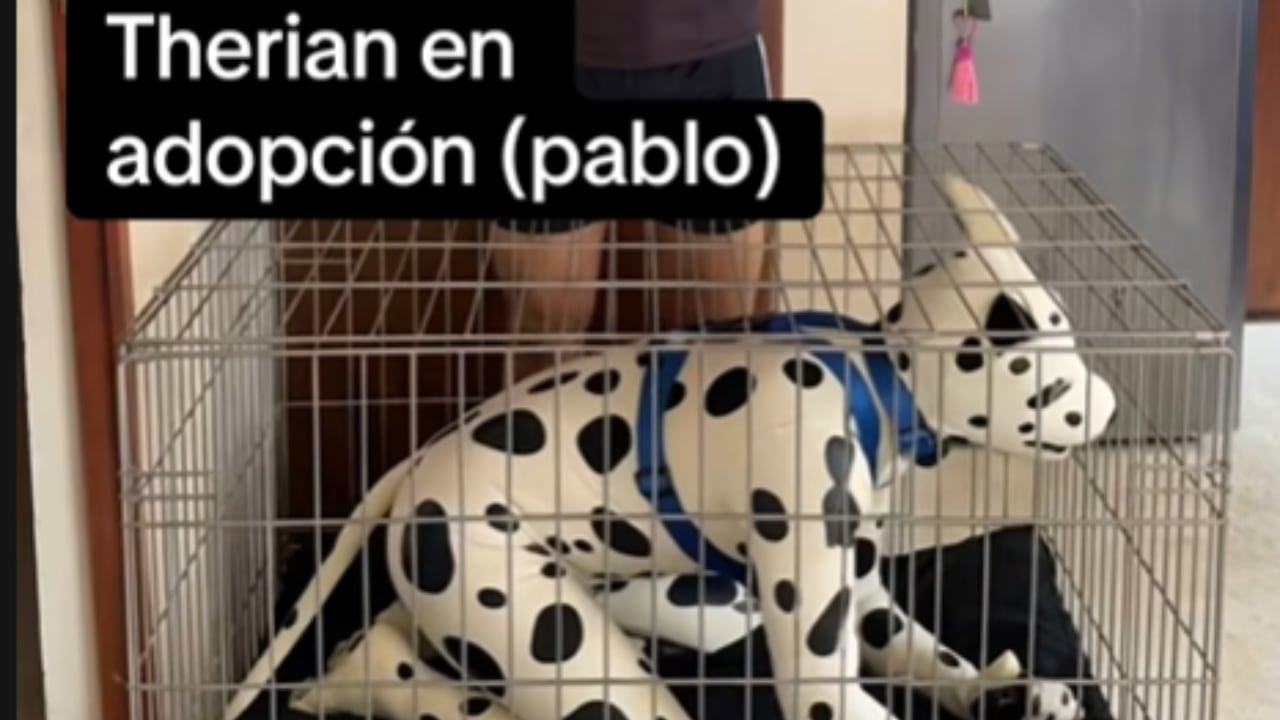 Una petición difundida en plataformas digitales desató polémica inmediata.