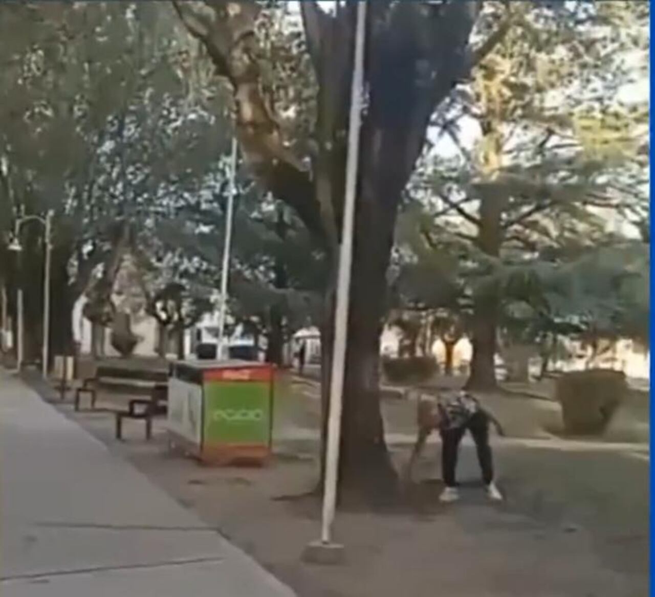 Cara a cara con ladrón