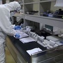 Coronavirus puede invadir el cerebro y provocar delirios, según estudio/AP