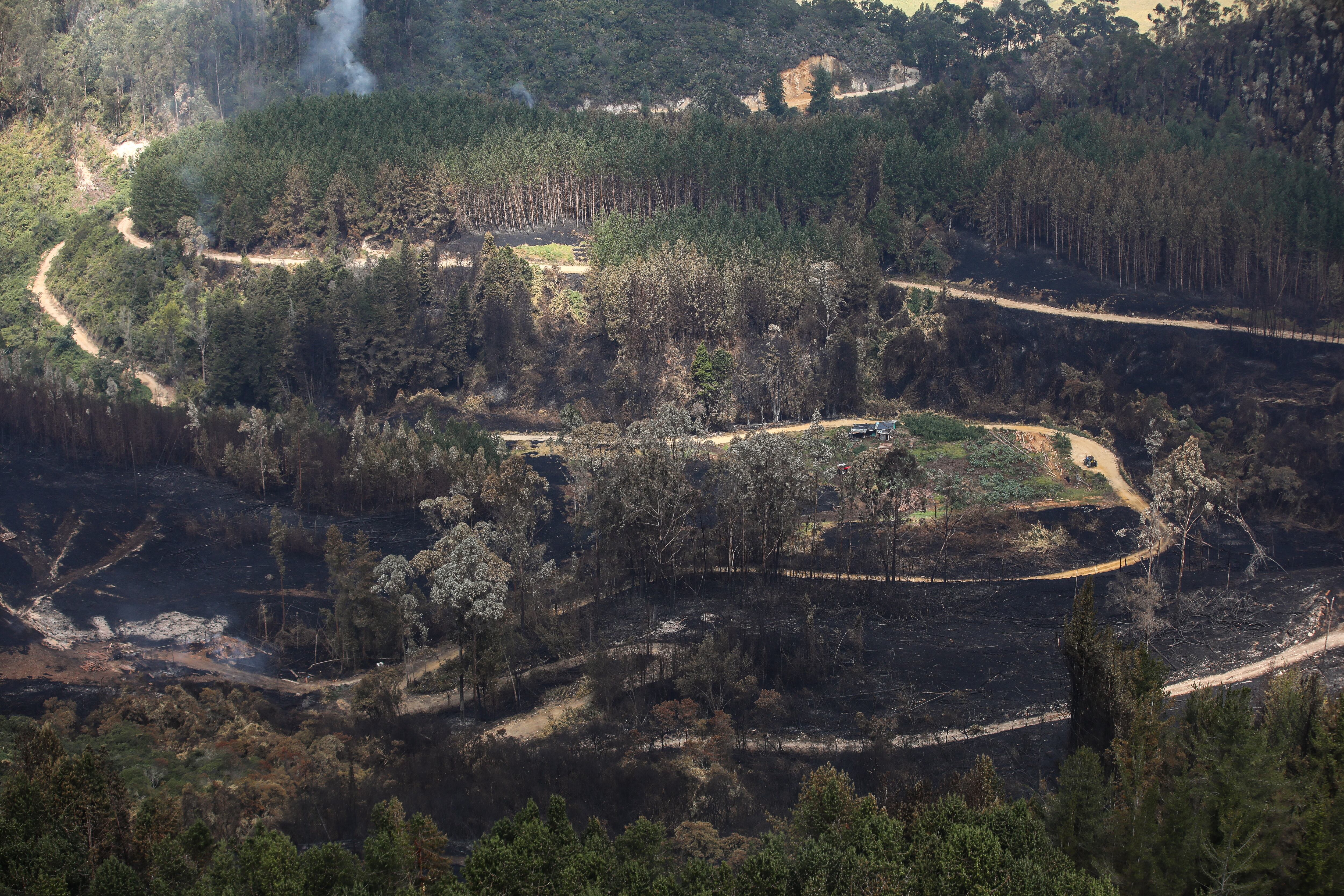 Sobrevuelo en Cundinamarca, sobre las zonas devastadas por los incendios