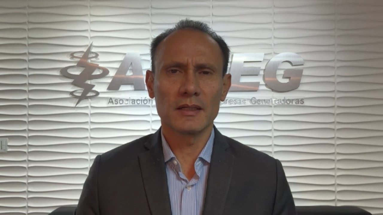 Alejandro Castañeda, presidente de Andeg