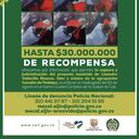 Identifican al presunto asesino de Lisandro Vallecilla, autoridades ofrecen millonaria recompensa.