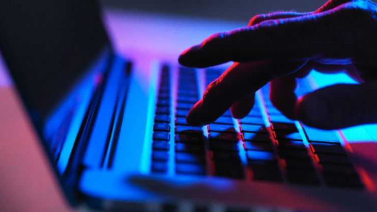 La industria Webcam aportaría $1,5 billones anuales al país