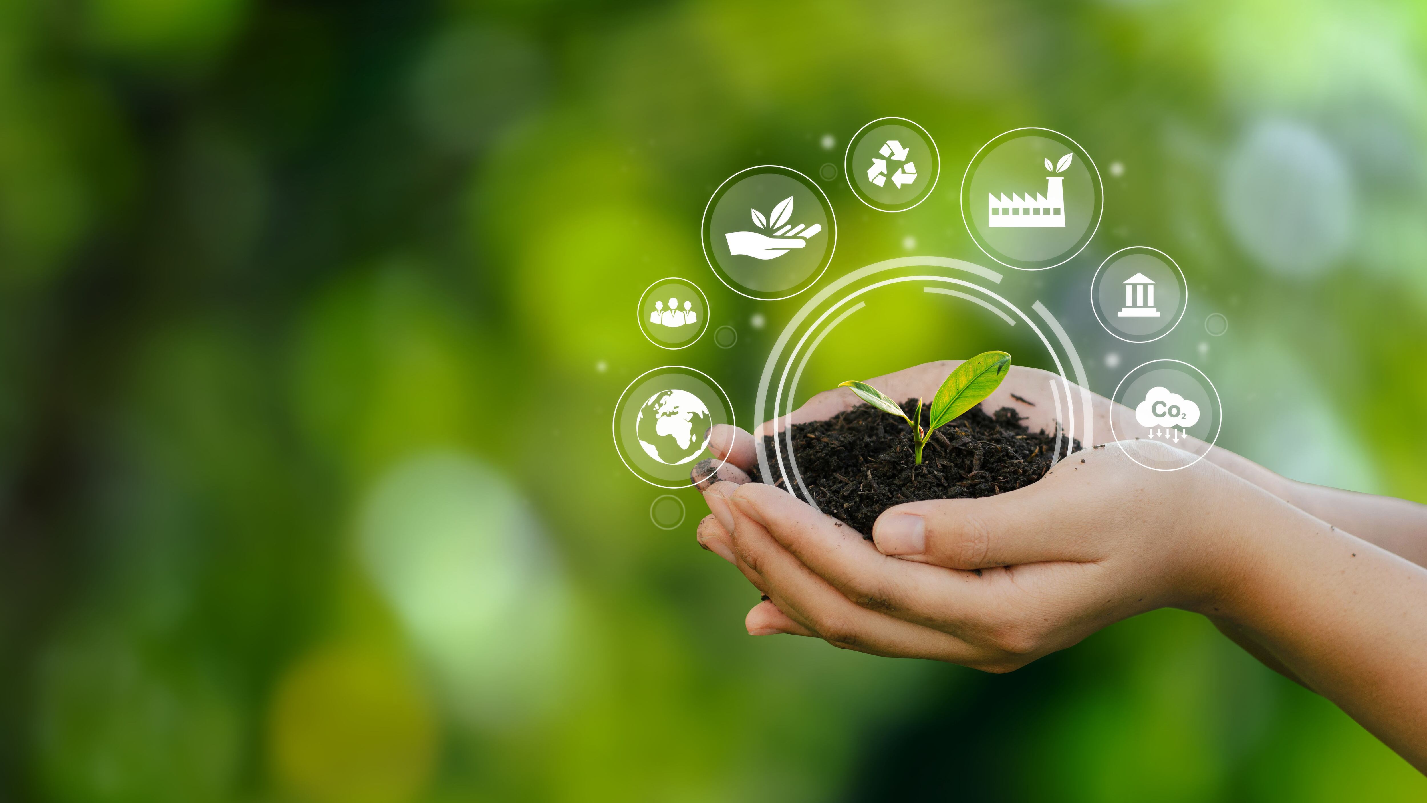 NO USAR, Sostenibilidad Davivienda