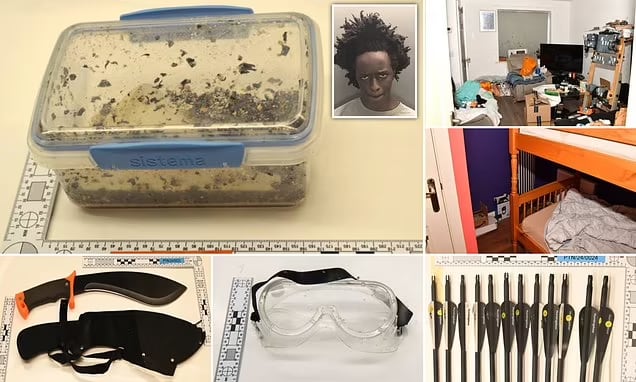 La policía de Merseyside también encontró un machete, una ballesta, flechas y cuchillos de combate después del ataque con cuchillos en Southport.