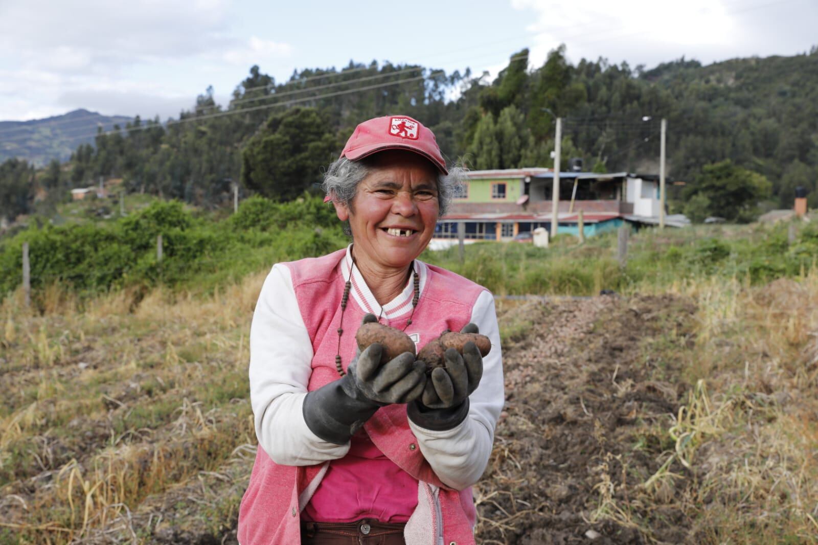 Sena destina $25.000 millones para apoyar emprendimientos campesinos en todo el país; conozca cómo aplicar