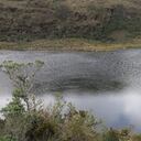 El Santuario de Fauna y Flora Iguaque abre nuevamente sus puertas al ecoturismo