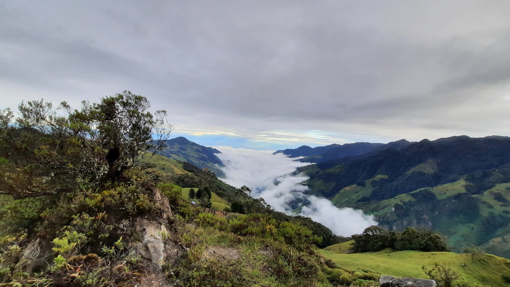 Esta zona del país es rica en flora y fauna gracias a su ubicación cercana a los nevados.