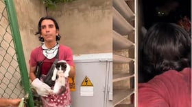 Rescate de gatos en Barranquilla