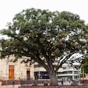 Duitama es una de las principales ciudades de Boyacá. Imperdible para visitar en unas vacaciones.