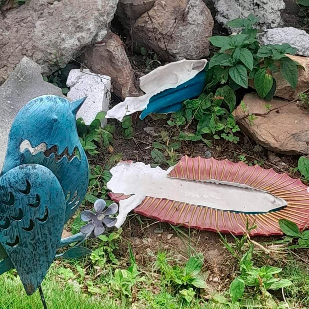 Profanación cementerio de Suratá, Santander.
