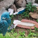 Profanación cementerio de Suratá, Santander.