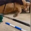 La vaca sin problema los obstáculos destinados para el ejercicio del equino,