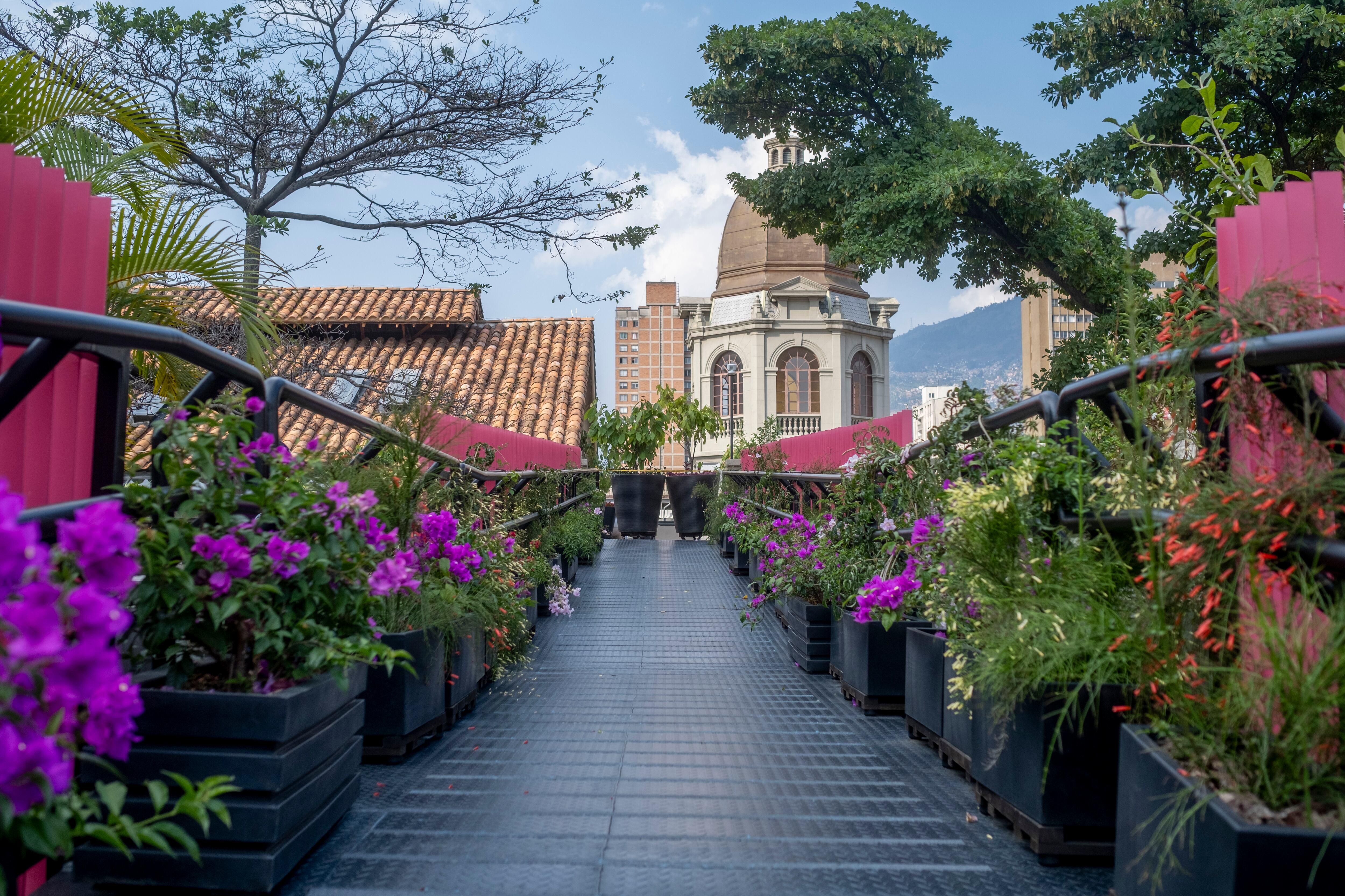 Puente que conecta con el edificio San Ignacio.