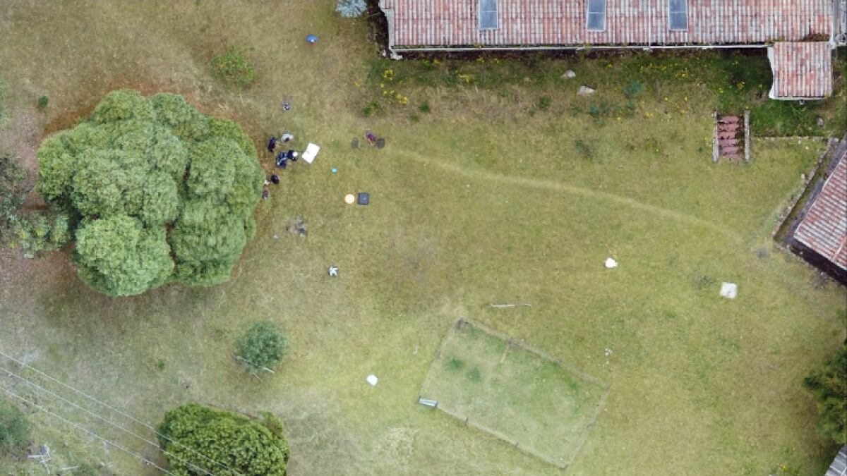 El Comité Internacional de la Cruz Roja (CICR), señaló que durante el año pasado, en Colombia, 168 ciudadanos fueron víctimas de desaparición forzada y 772 desde la firma del Acuerdo de Paz, entre los que se encuentran menores de edad.