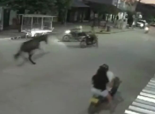 Ocurrió en la vía principal de Pueblo Viejo.