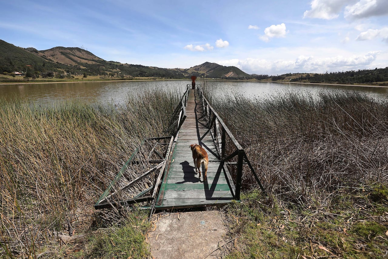 La sequía de la Laguna de Suesca.