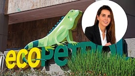 Catalina Velásquez Gil, hija del exministro de Defensa, Iván Velásquez, fue despedida de Ecopetrol.