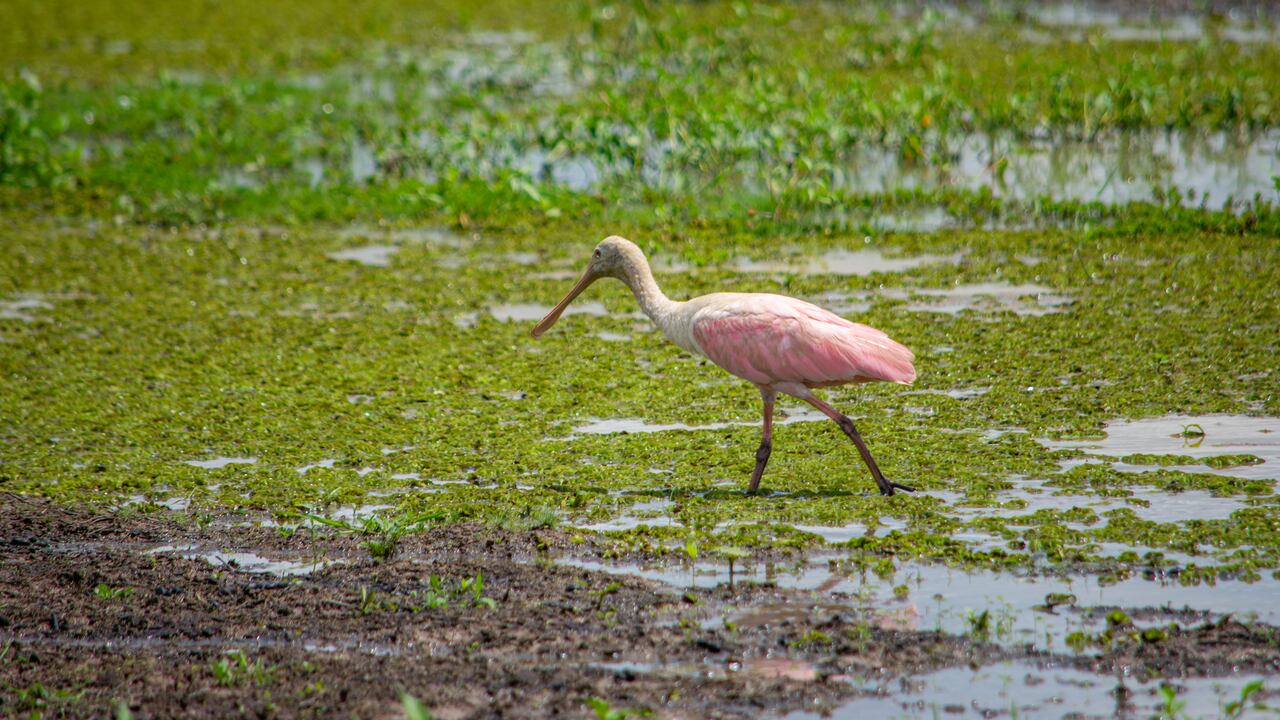 Este es uno de los municipios ideales para vivir experiencias de naturaleza y aventura.
